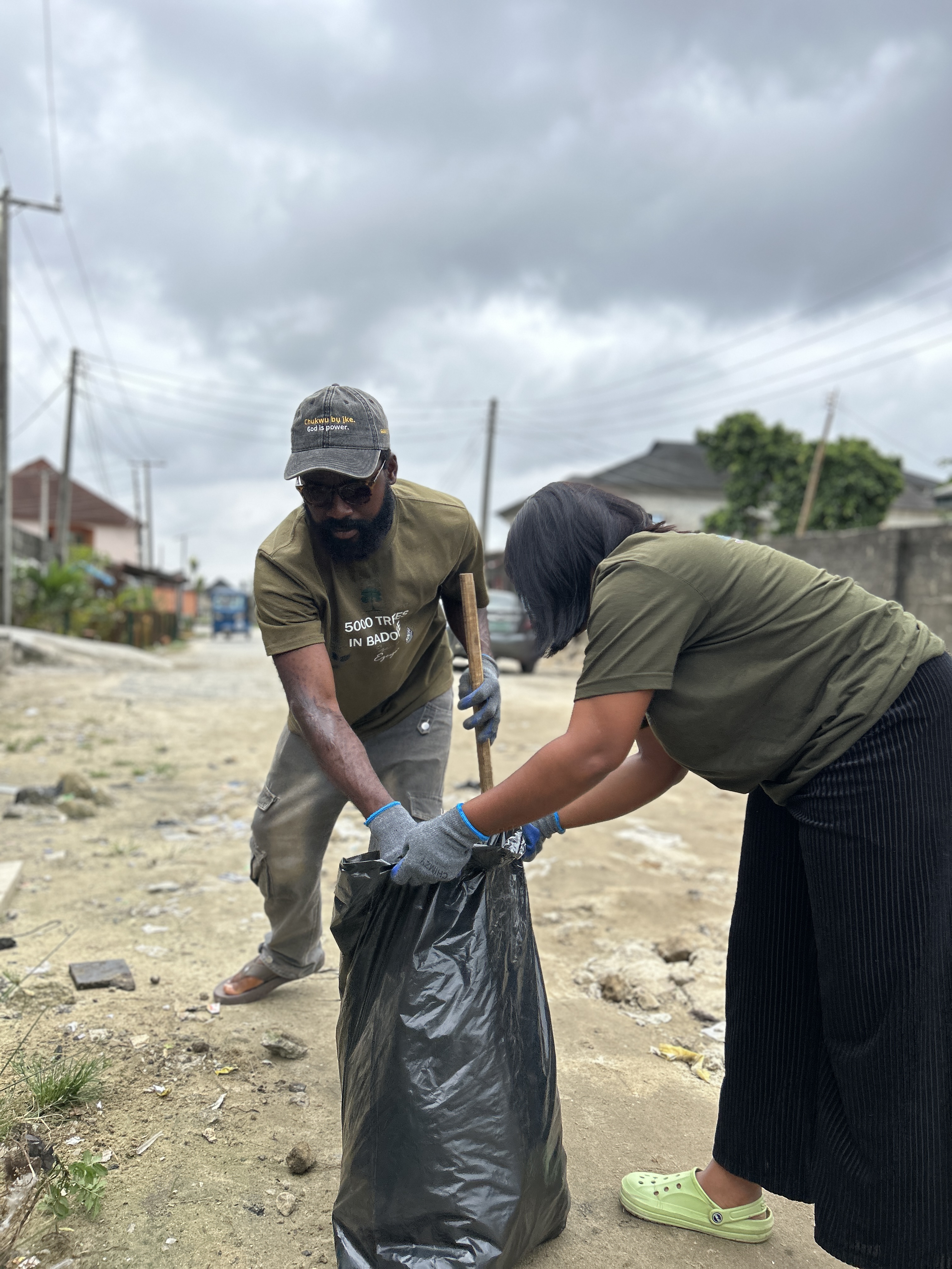 Reforestation project in progress