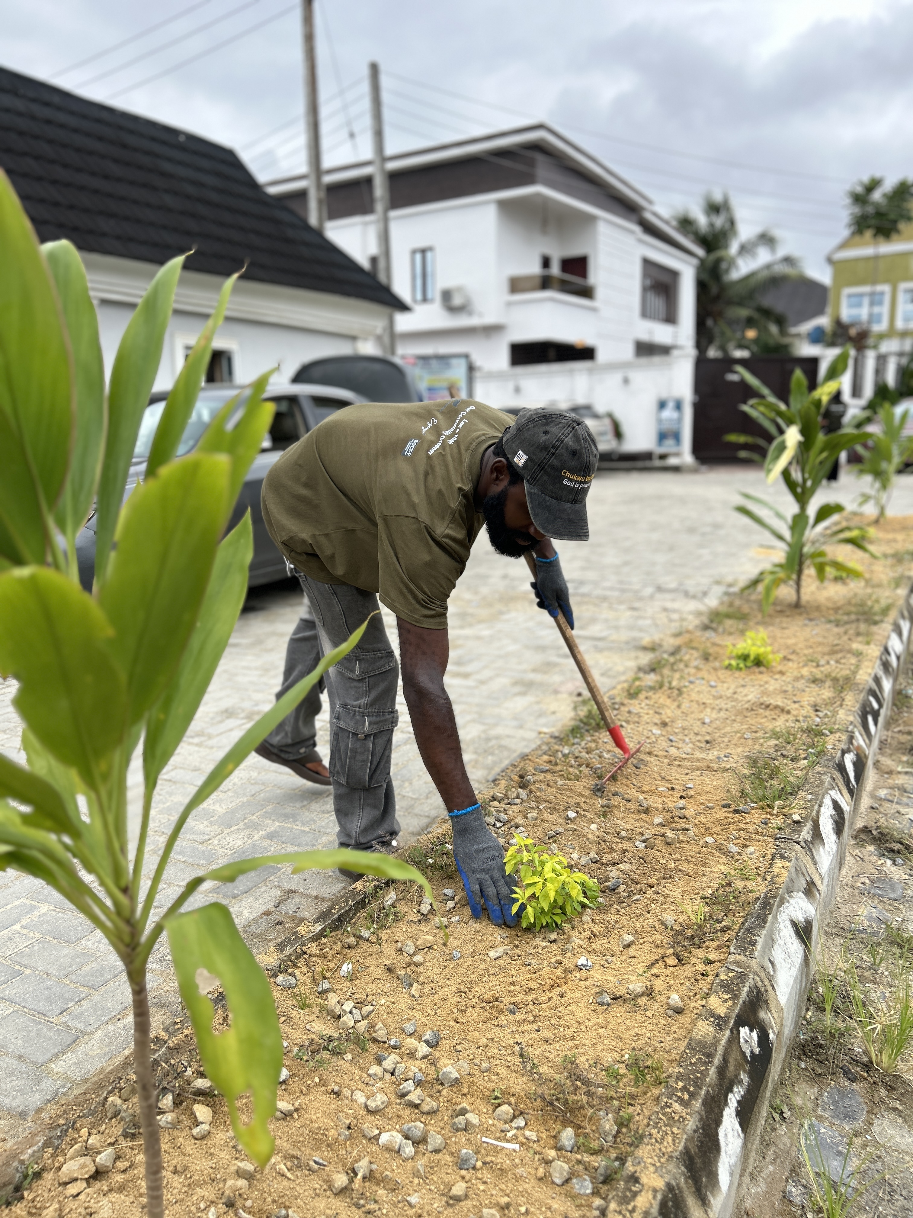 Tree planting initiative in Lagos